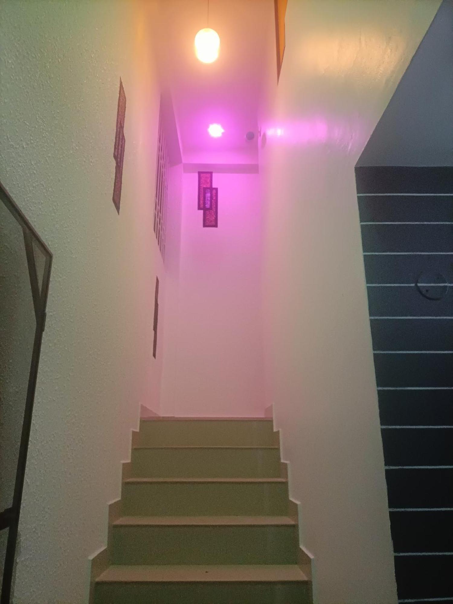 Cozy Haven Apartment Kochi Екстериор снимка